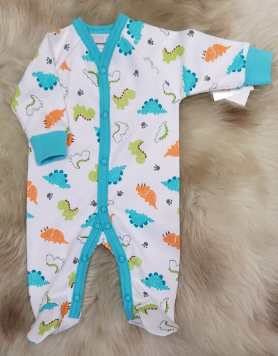 Hovedbilde 2020 Dino-TP